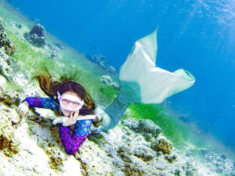 PADI Mermaid Center 千葉にあるマーメイドスイムのお店です