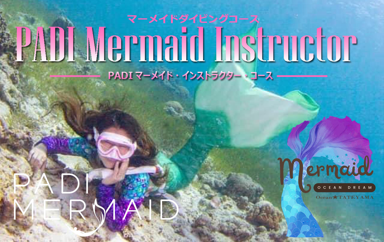 マーメイド　コース マーメイドショー